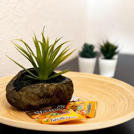 Apartment Modernes Naehe Chemnitz Wifi Netflix